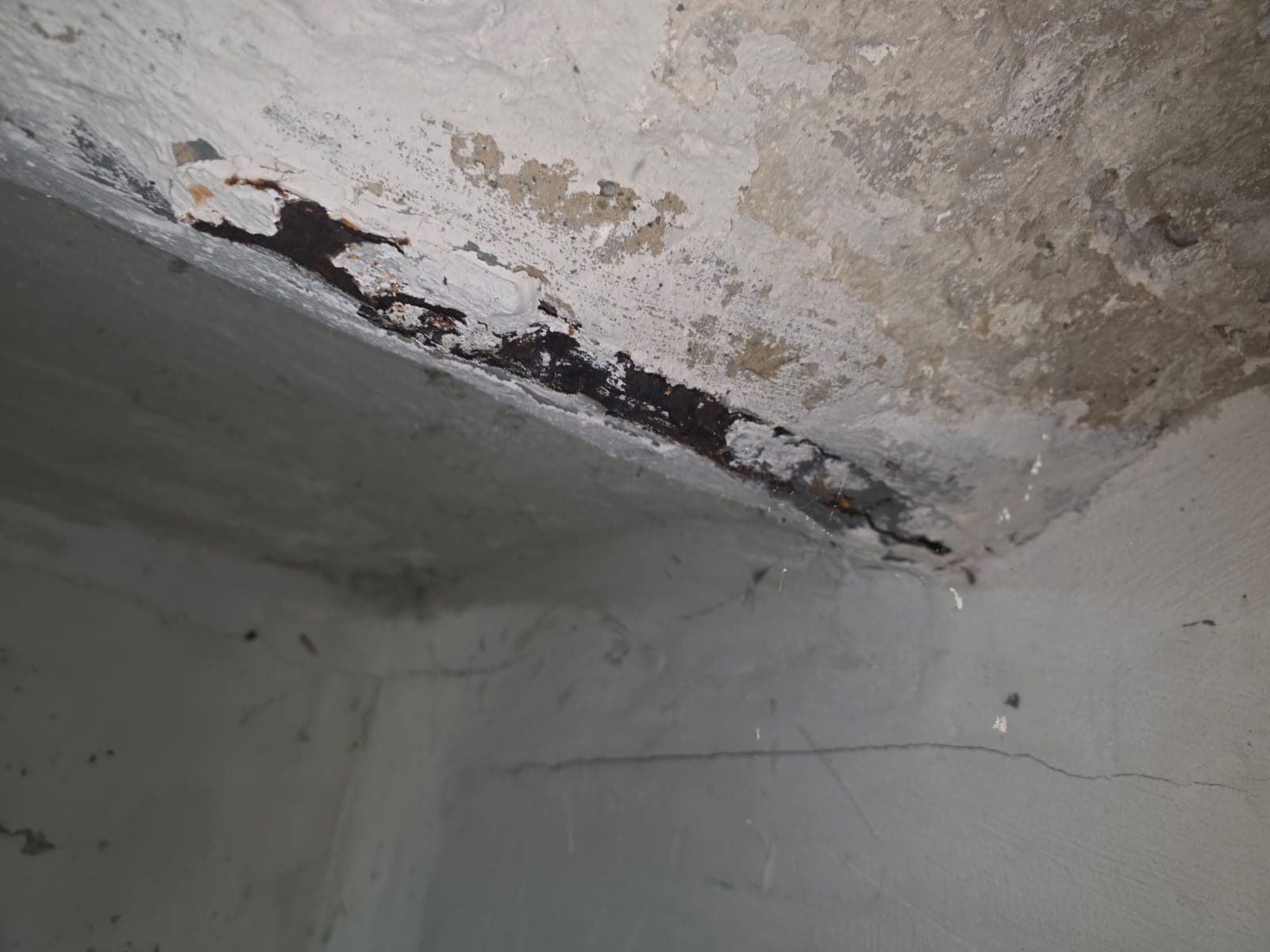 Dokumentierter Feuchteschaden an einer Kellerdecke mit Ausblühungen und Korrosionsspuren
