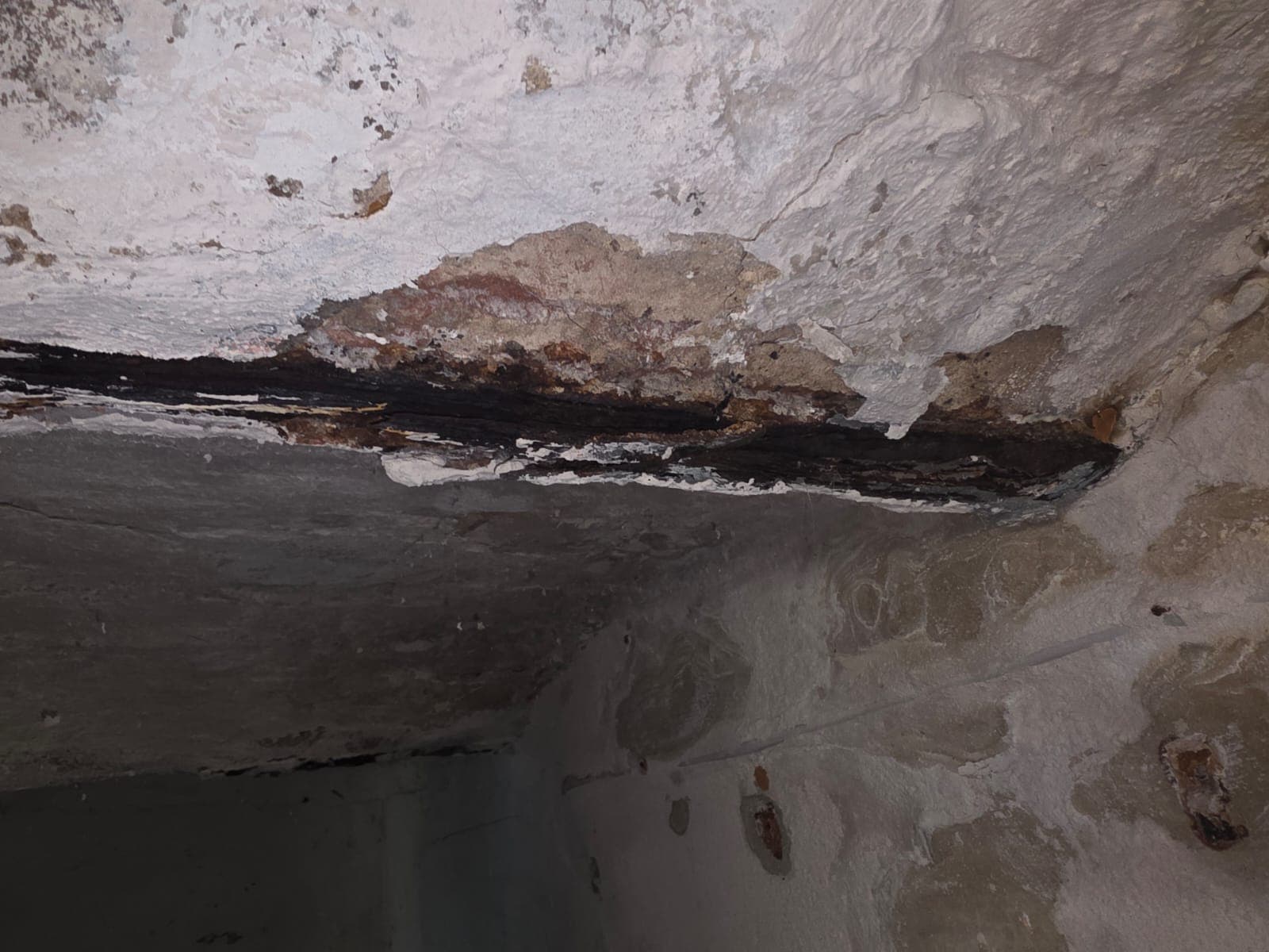 Durchfeuchtete Kellerdecke mit Ausblühungen und Korrosionsspuren an der Bewehrung