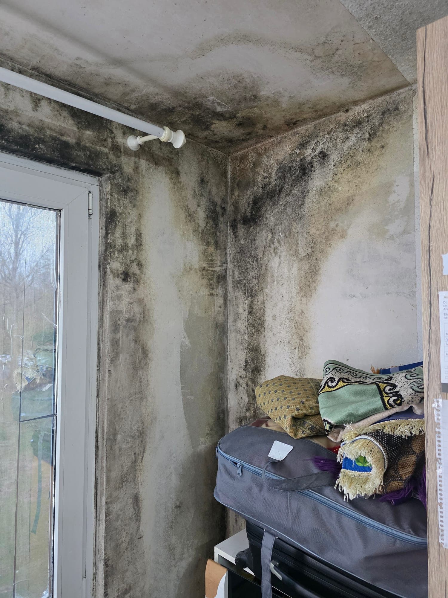 Flächiger Schimmelbefall an Fensterlaibung, Außenwandecke und Decke eines Wohnraums